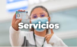 Servicios